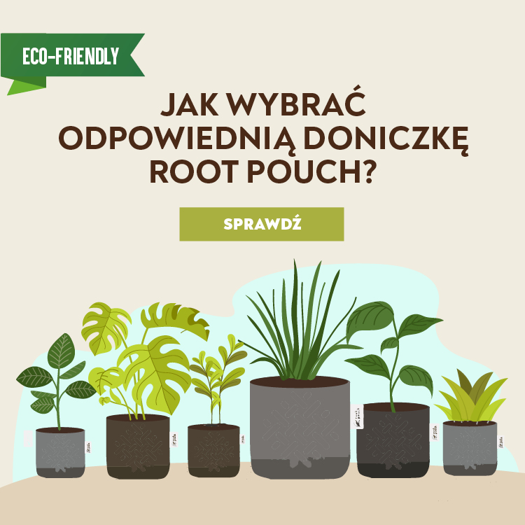 Jak wybrać odpowiednią doniczkę Root Pouch?