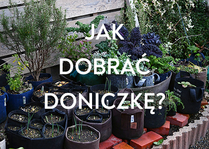 Jak wybrać odpowiednią doniczkę Root Pouch?