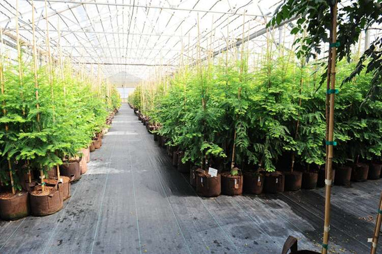 Multipack Root Pouch doniczka materiałowa 35x30cm 30L z uchwytem brązowa 10 szt