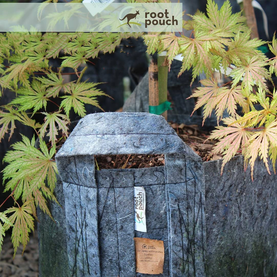 Multipack Root Pouch doniczka materiałowa 25,5x21,5cm 12L szara 25 szt