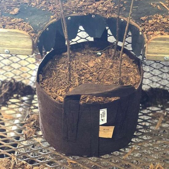 Multipack Root Pouch doniczka materiałowa 25,5x21,5cm 12L brązowa 25 szt