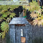 Growbag Root Pouch doniczka materiałowa 28x26cm 16L szara 