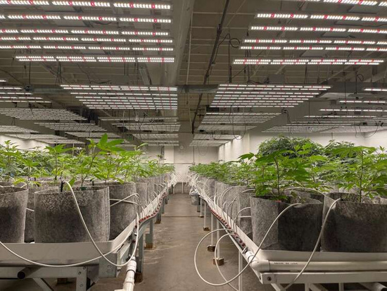 Multipack Root Pouch doniczka materiałowa 35x30cm 30L z uchwytem szara 10 szt