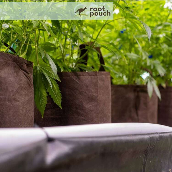 Multipack Root Pouch doniczka materiałowa 35x30cm 30L z uchwytem brązowa 10 szt