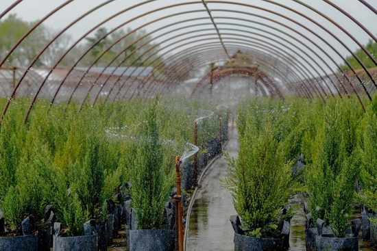 Growbag Root Pouch doniczka materiałowa 50x40cm 78L szara z uchwytem 200 szt