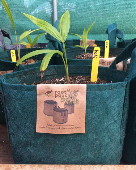 Growbag Root Pouch doniczka materiałowa 28x26cm 16L z uchwytami zielona 420 szt