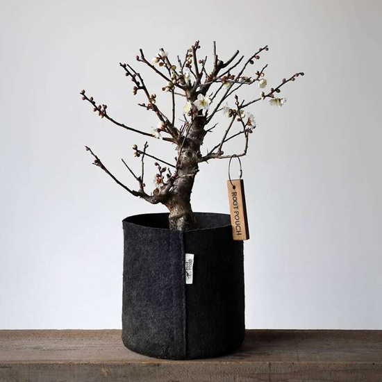 Multipack Root Pouch doniczka materiałowa 21x21cm 8L czarna 25 szt