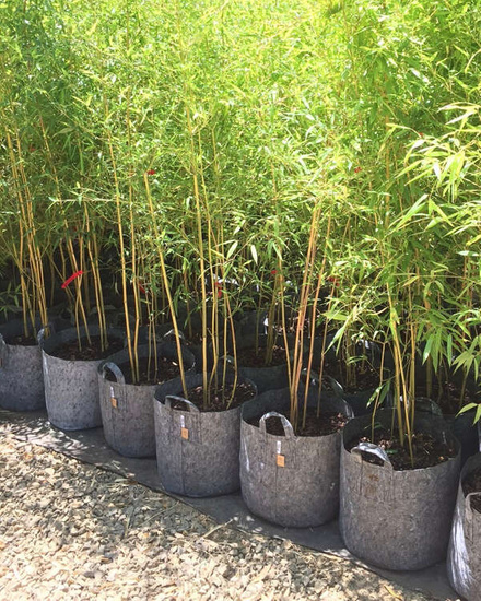 Multipack Root Pouch doniczka materiałowa 50x40cm 78L szara z uchwytem 10 szt